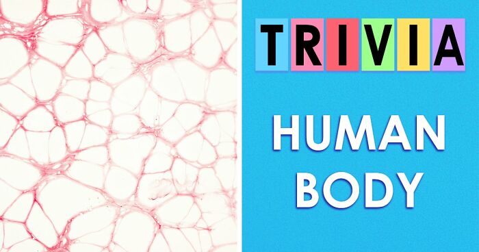 “How Well Do You Really Know The Human Body?”: Answer All 29 Science Questions