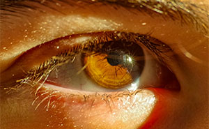 “Do You Understand How The Body Works?”: Score 24/29 To Prove It In This Biology Quiz