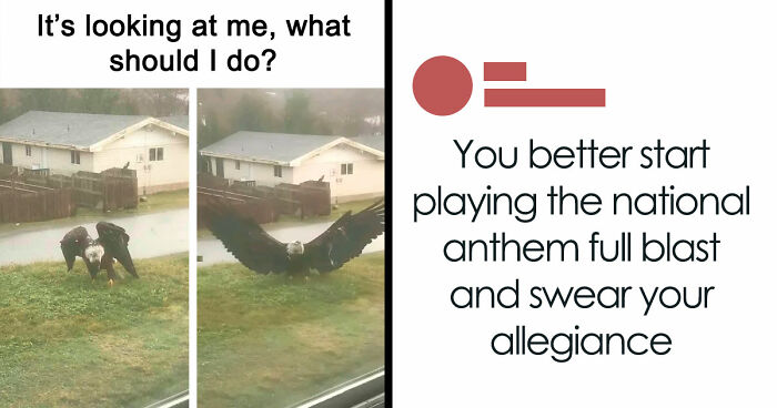 83 Funny Bird Memes For Those Who’ve Entered Their “Wait, What Bird Is That?” Era