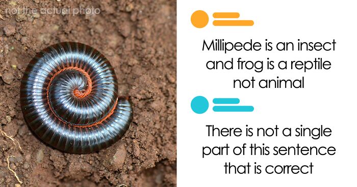 “Are You Sure You Graduated?”: 61 Times People Were 100% Sure And 100% Wrong At The Same Time