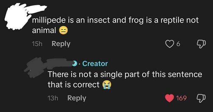 “Are You Sure You Graduated?”: 61 Times People Were 100% Sure And 100% Wrong At The Same Time