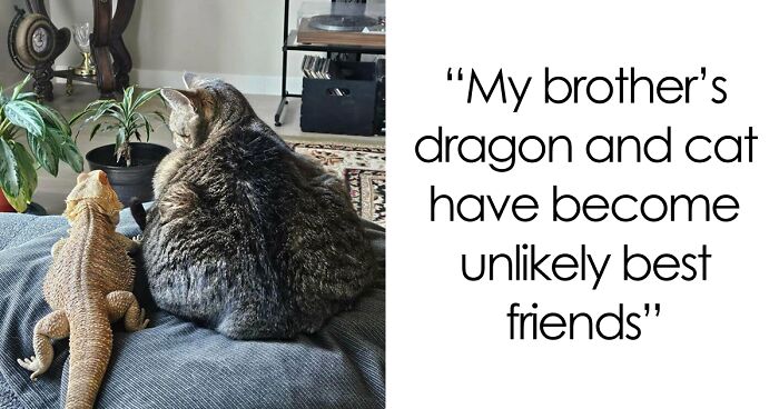 51 Funny And Chaotic Photos Of Pet Siblings To Cleanse Your Depressing Feed Today (New Pics)