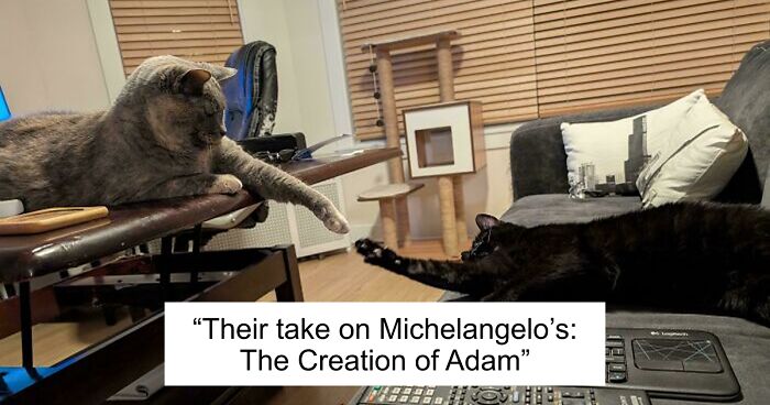 51 Funny And Chaotic Photos Of Pet Siblings To Cleanse Your Depressing Feed Today (New Pics)