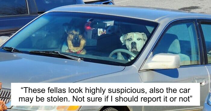 51 Funny And Chaotic Photos Of Pet Siblings To Cleanse Your Depressing Feed Today (New Pics)