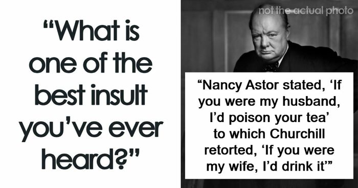 69 Times People Insulted Someone In Just The Right Way