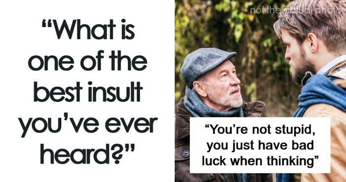 69 Times People Insulted Someone In Just The Right Way