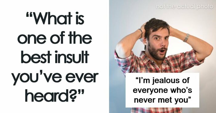 69 Times People Insulted Someone In Just The Right Way