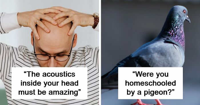 69 Times People Insulted Someone In Just The Right Way