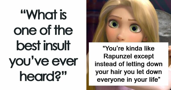 69 Times People Insulted Someone In Just The Right Way