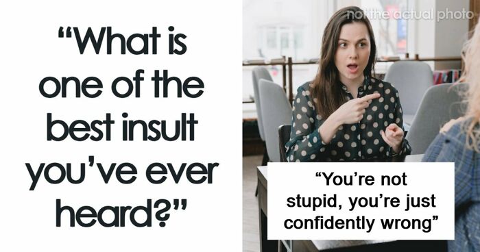 69 Times People Insulted Someone In Just The Right Way
