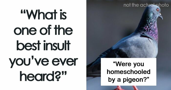 69 Times People Insulted Someone In Just The Right Way