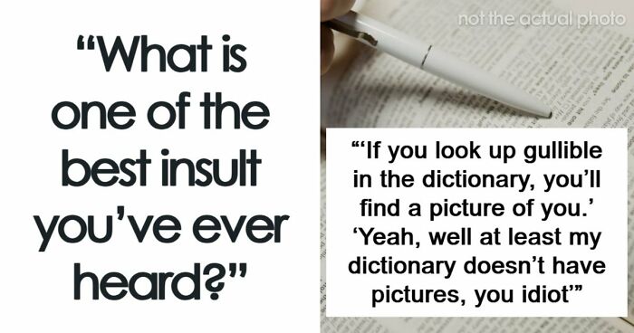 69 Times People Insulted Someone In Just The Right Way