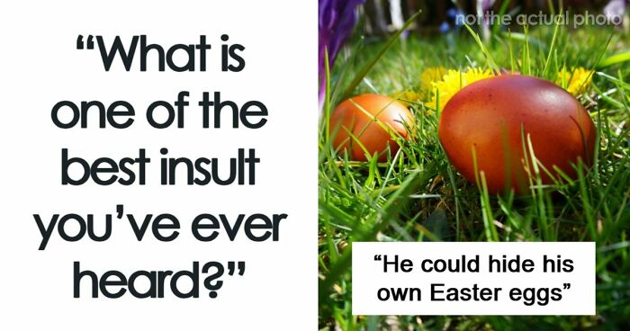 69 Times People Insulted Someone In Just The Right Way