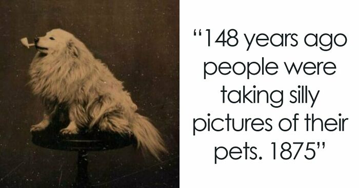 115 Fascinating Photos That Might Teach You About History In A Way School Can’t (New Pics)