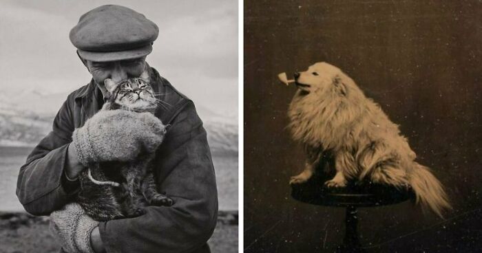 115 Fascinating Photos That Might Teach You About History In A Way School Can’t (New Pics)