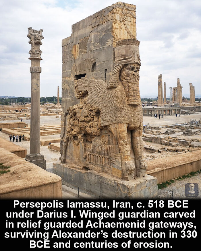 Ancient Persepolis lamassu in Iran, a historical marvel surviving centuries of erosion and destruction since 518 BCE.