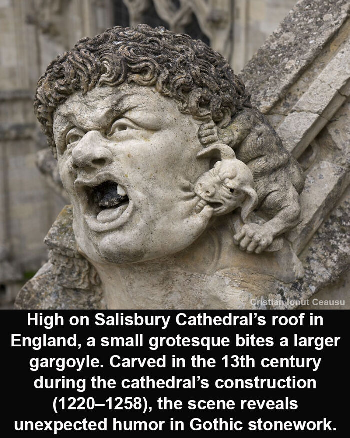 Gothic stone gargoyle at Salisbury Cathedral from the 13th century, a historical marvel showcasing medieval humor and craftsmanship.