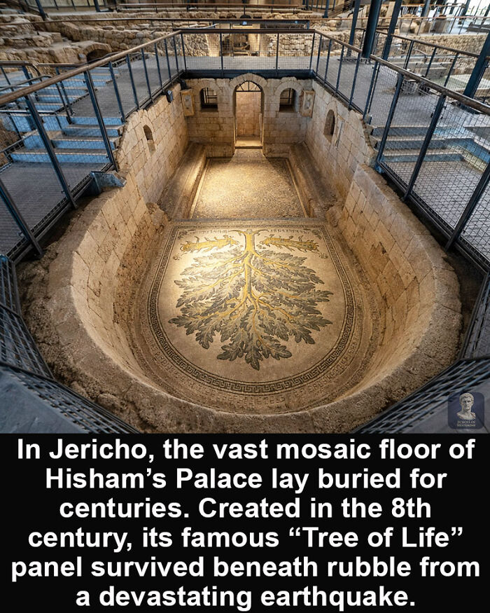 Mosaic floor of Hisham’s Palace in Jericho featuring the Tree of Life, a historical marvel surviving centuries underground.