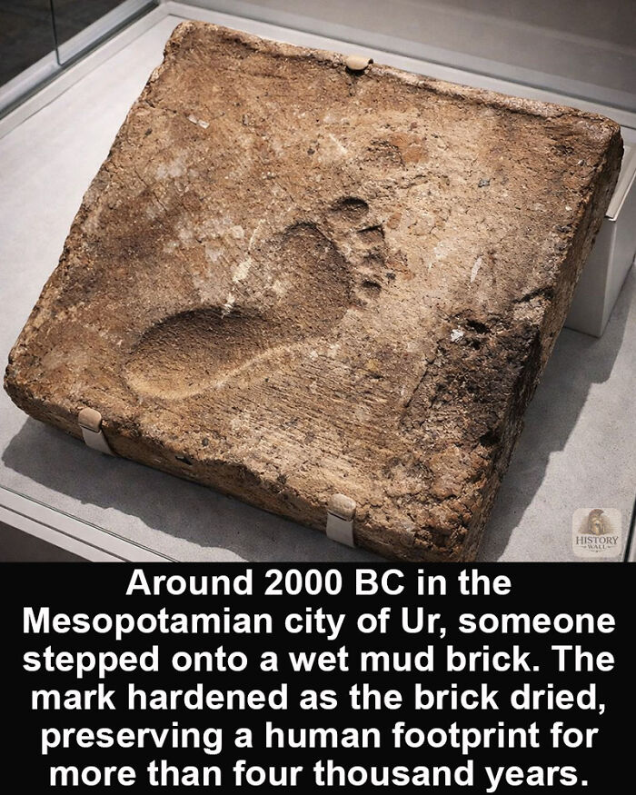 Ancient human footprint preserved on a mud brick from Mesopotamian city of Ur, a remarkable historical marvel.