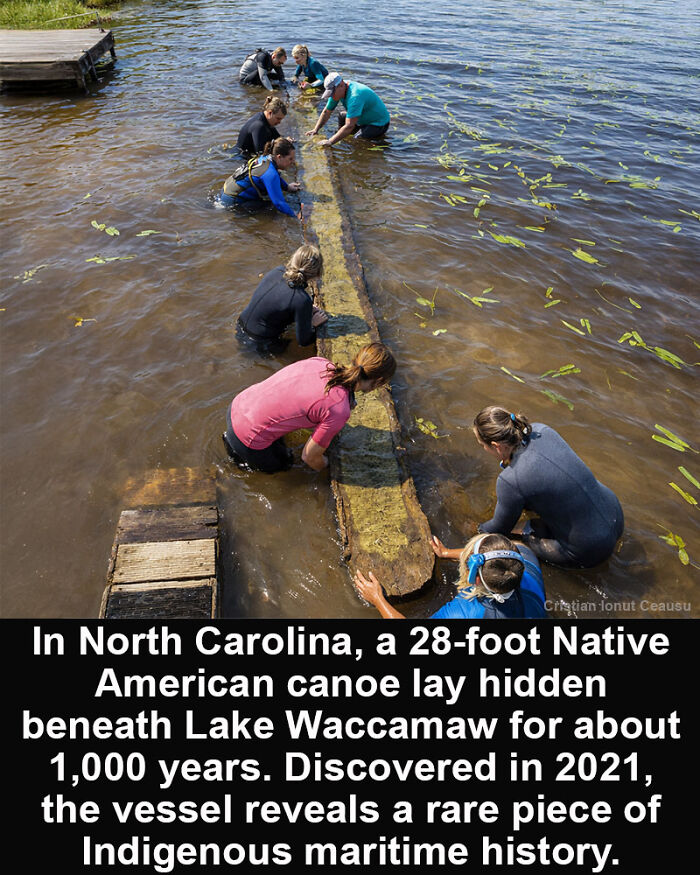 Group of people uncovering a 28-foot Native American canoe, an impressive historical marvel, from Lake Waccamaw, North Carolina.