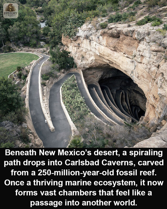 Spiraling path leading into Carlsbad Caverns, a historical marvel carved from a 250-million-year-old fossil reef.