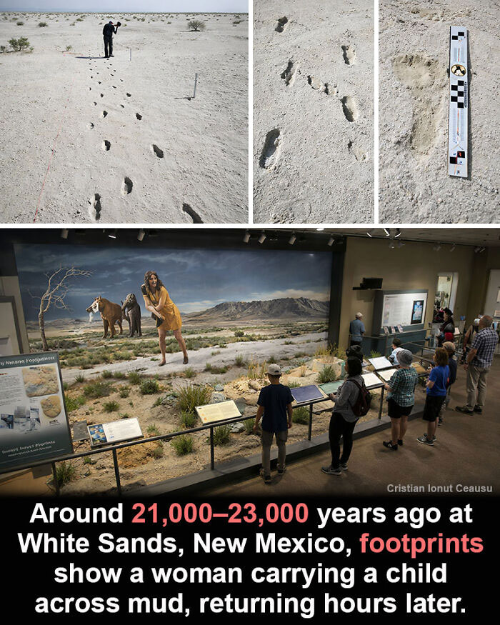 Ancient footprints at White Sands, New Mexico, a historical marvel showing a woman carrying a child from 21,000 years ago.