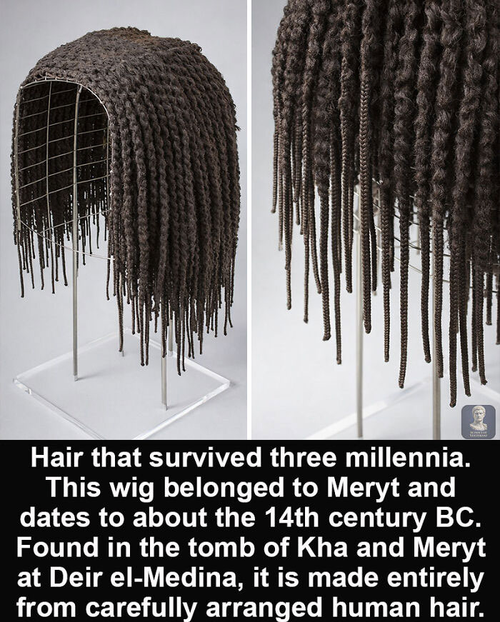 Ancient wig made from human hair dating to the 14th century BC, a historical marvel surviving through time and found in Deir el-Medina.
