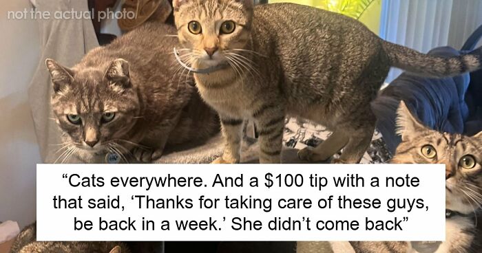 “Don’t Tell My Wife”: 55 Hotel Workers Share Guest Stories That Left Them Absolutely Speechless