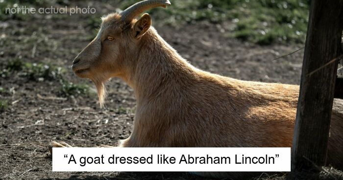 “Don’t Tell My Wife”: 55 Hotel Workers Share Guest Stories That Left Them Absolutely Speechless