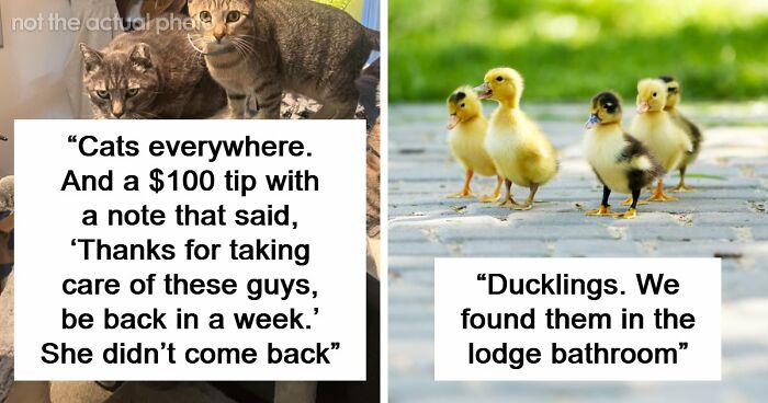 “Don’t Tell My Wife”: 55 Hotel Workers Share Guest Stories That Left Them Absolutely Speechless