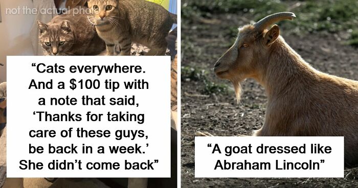 “Don’t Tell My Wife”: 55 Hotel Workers Share Guest Stories That Left Them Absolutely Speechless