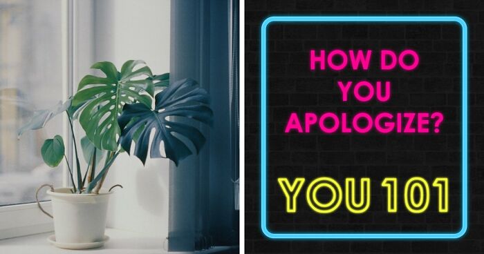 We All Apologize Differently – These 27 Questions Show Exactly How You Do It