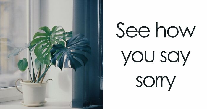 We All Apologize Differently – These 27 Questions Show Exactly How You Do It