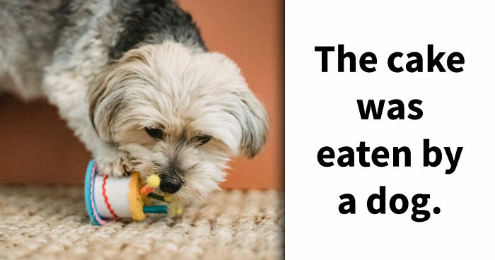 If You Can Spot All 30 Spelling Mistakes In This Quiz, You Have Incredible Attention To Detail