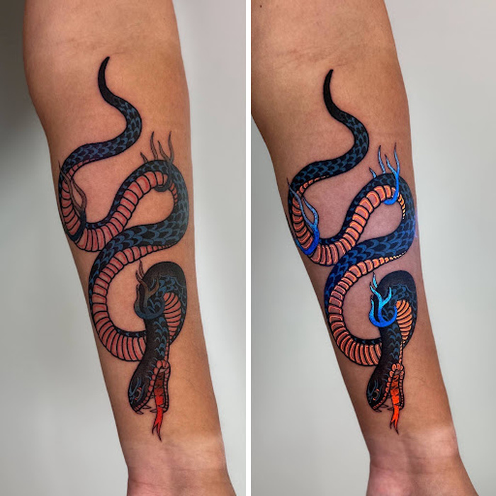 Neo (Not So) Traditional Snake