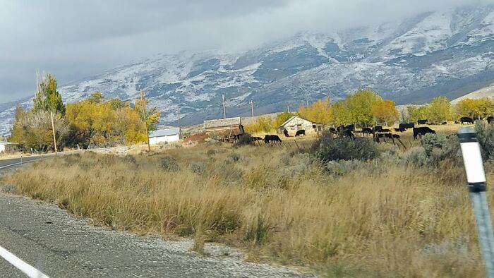 31 Cities That Left Travelers Deeply Unsettled And Unable To Explain Exactly Why