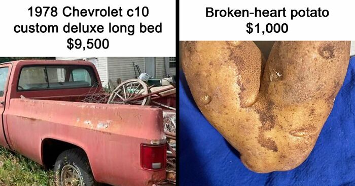 55 Times People Thought They Would Earn Quick Money But Ended Up Being Shamed For Selling Trash