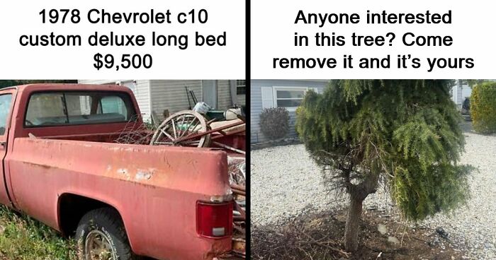 55 Times People Thought They Would Earn Quick Money But Ended Up Being Shamed For Selling Trash