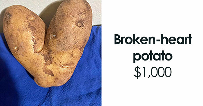 55 Times People Thought They Would Earn Quick Money But Ended Up Being Shamed For Selling Trash
