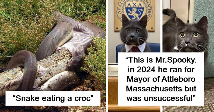 75 Iconic Animal Photos From All Over The World