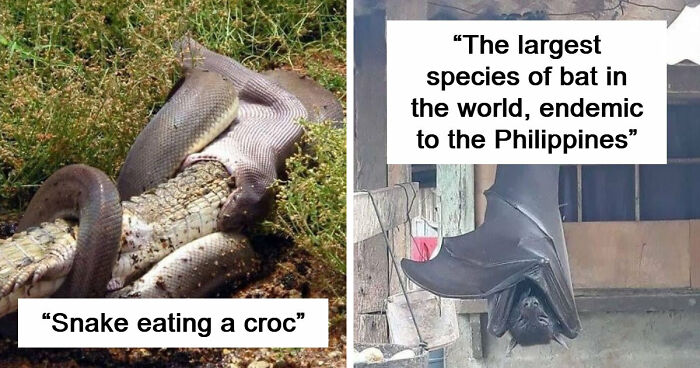 75 Iconic Animal Photos From All Over The World