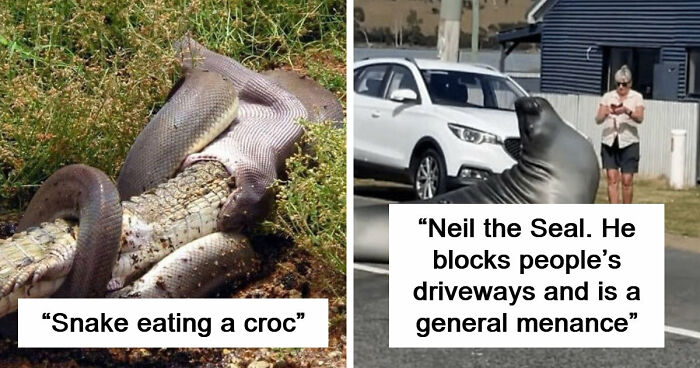 75 Iconic Animal Photos From All Over The World