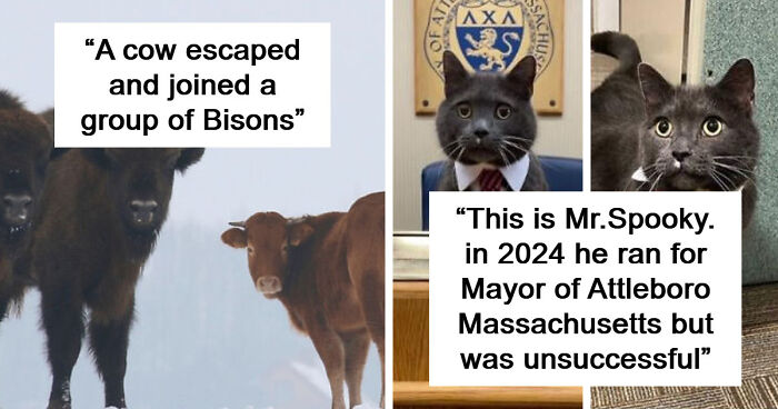 75 Iconic Animal Photos From All Over The World