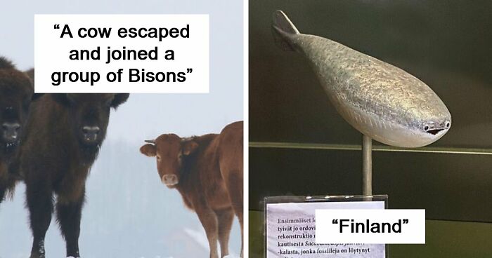 75 Iconic Animal Photos From All Over The World