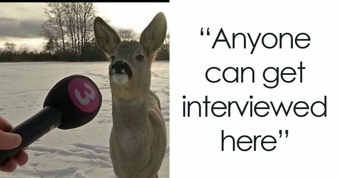 75 Iconic Animal Photos From All Over The World