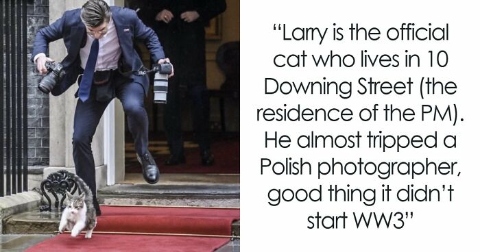 75 Iconic Animal Photos From All Over The World