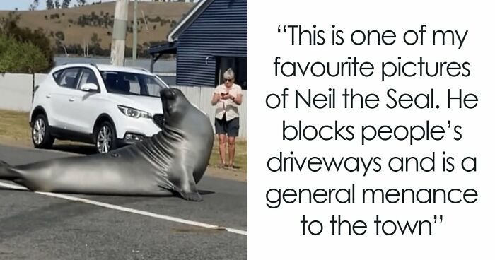 75 Iconic Animal Photos From All Over The World