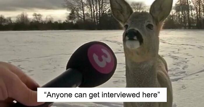 75 Iconic Animal Photos From All Over The World