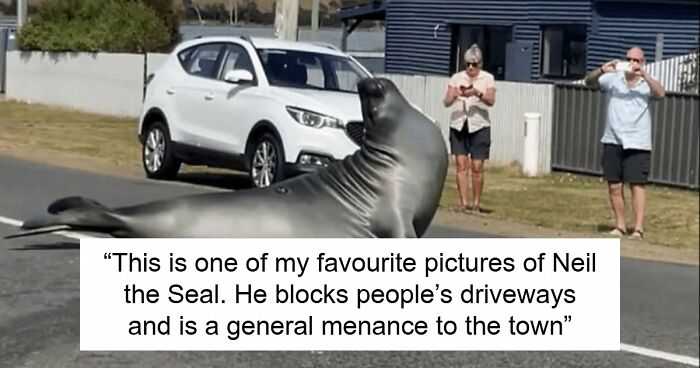 75 Iconic Animal Photos From All Over The World