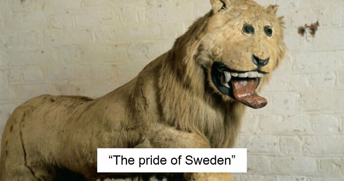 75 Iconic Animal Photos From All Over The World